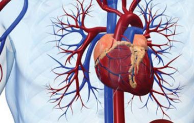 Новая технология исследования сосудов