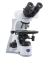 B 500 Прямой микроскоп