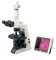 E200/ E200 LED Лабораторный бинокулярный микроскоп серии Eclipse