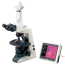 E200/ E200 LED Лабораторный бинокулярный микроскоп серии Eclipse