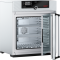 IF 110 Инкубатор с принудительной циркуляцией